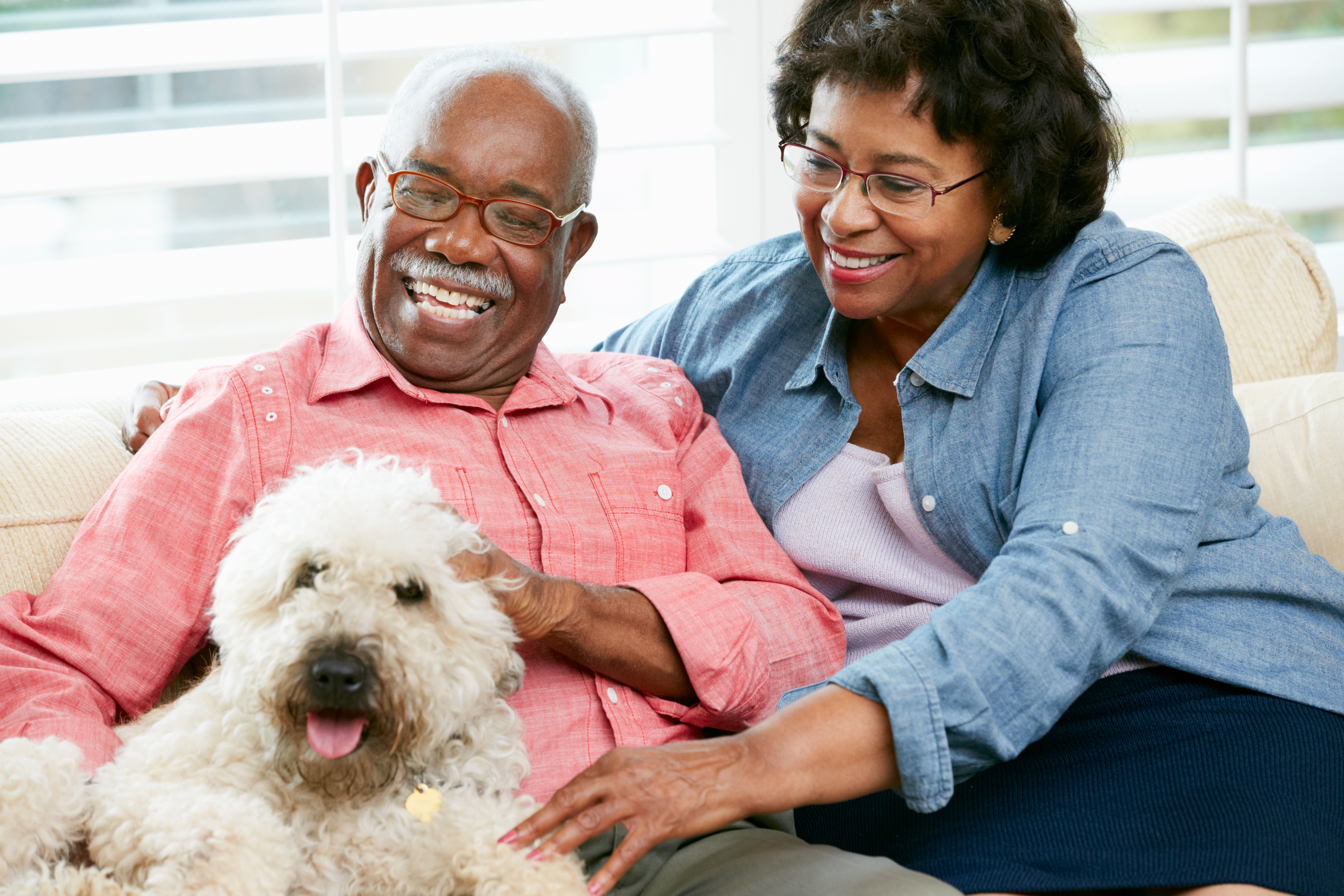 older couple with a dog