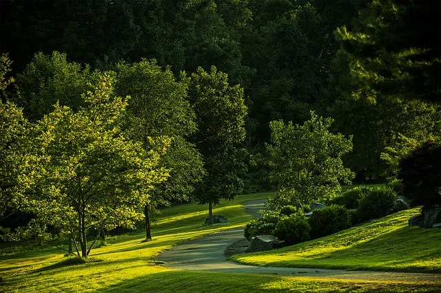 Wooded Virginia State Park